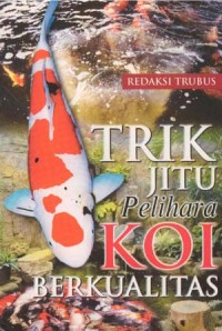 Trik Jitu Pelihara Koi Berkualitas