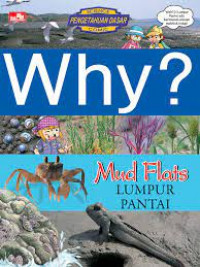 Why ? Lumpur Pantai