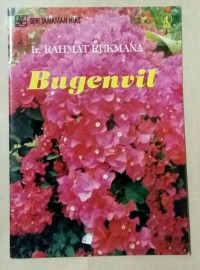 Image of Bugenvil