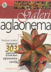 Image of Galeri Aglaonema