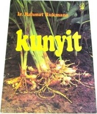 Image of Kunyit