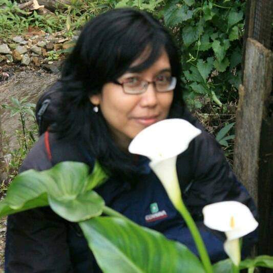 Hatmi Dania