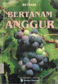 Bertanam Anggur