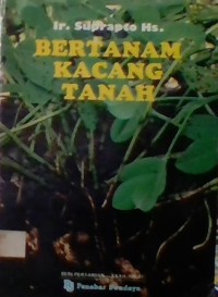 Bertanam Kacang Tanah