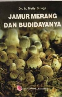 Jamur Merang Dan Budidayanya