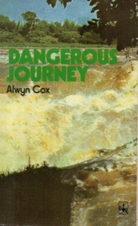 Dangerous Journey