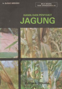 Hama Dan Jagung
