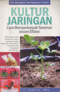 Kultur Jaringan cara Memperbanyak Tanaman Secara Efisien