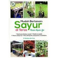 Mudah Bertanam Sayur Di Teras
