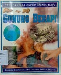 Gunung Berapi
