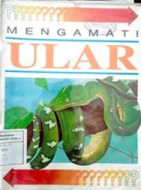 Mengamati : Ular