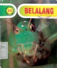 Seri Misteri Alam : Belalang