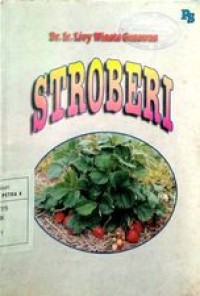 Stroberi