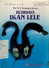 Budidaya ikan lele