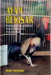 Ayam bekisar pengembangbiakan pemeliharaan pelestarian