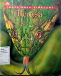 Perasa