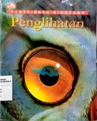 Penglihatan