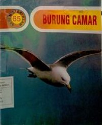 Seri Misteri Alam : Burung Camar