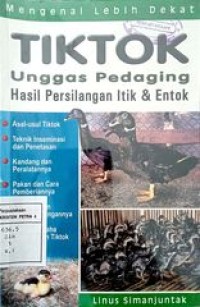 Tiktok unggas pedaging hasil persilangan itik & entok
