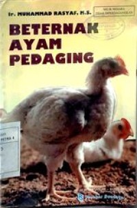 Beternak ayam pedaging