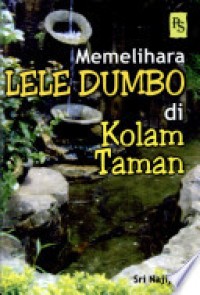 Memelihara lele dumbo dikolam taman