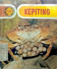 Image of Seri Misteri Alam : Kepiting