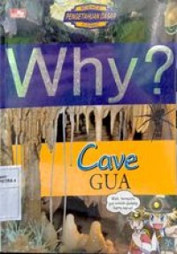 Image of Why ? Cave ( Gua )