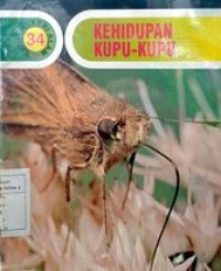 Image of Seri Misteri Alam : Kehidupan kupu-kupu