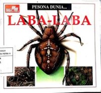 Image of Pesona Dunia : Laba-Laba