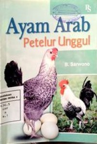 Image of Ayam Arab petelur Unggul