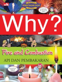Image of Why ? Fire & Combustion