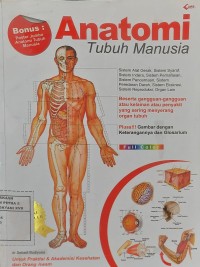 Anatomi Tubuh Manusia