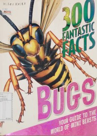 Bugs Your Guide to The World of Mini Beasts