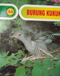 Burung Kukuk