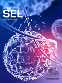 Image of Ensiklopedia Sains : Sel