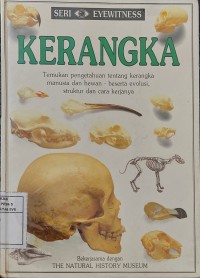 Kerangka