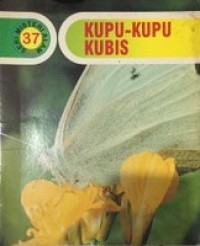 Kupu-Kupu Kubis