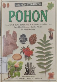Pohon