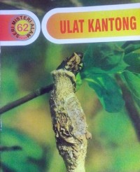 Ulat Kantong