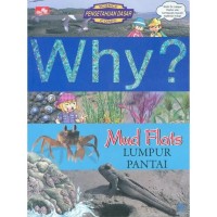 Why ? Mud Flats