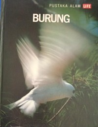 Burung